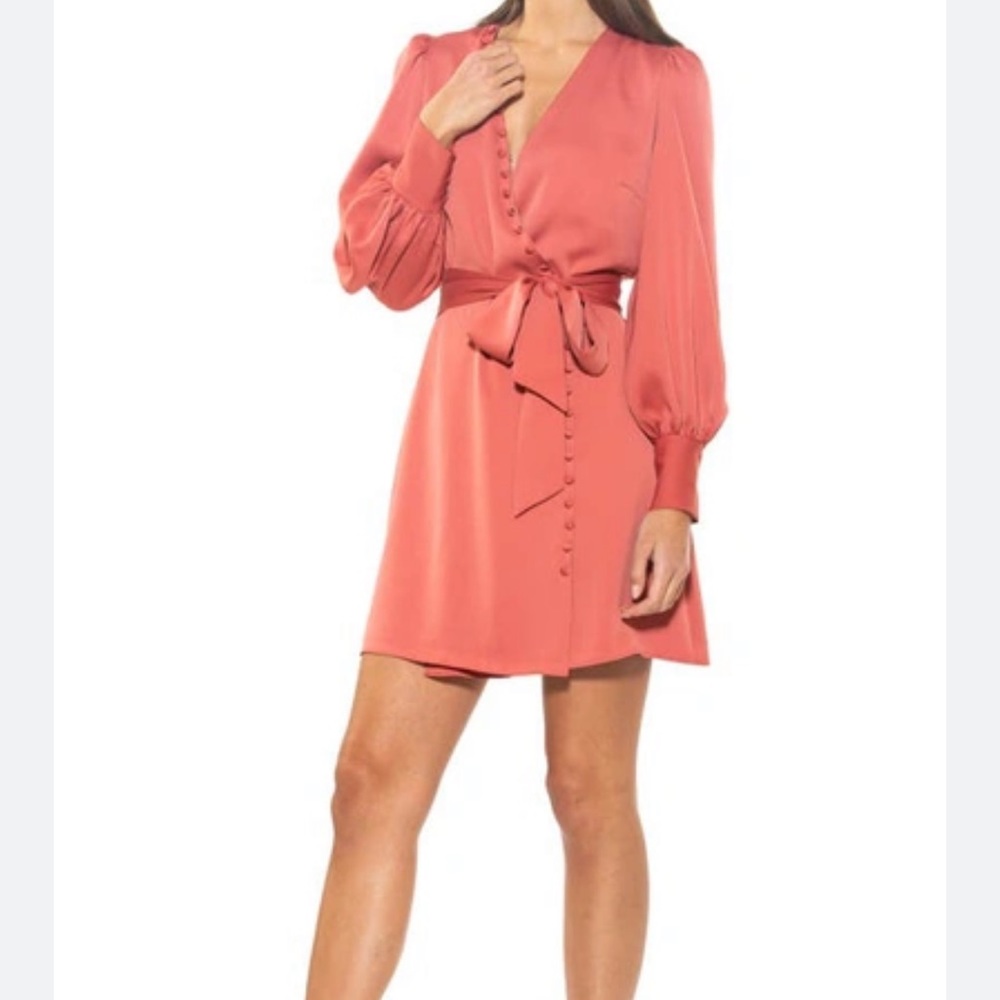 NWT Alexia Admor Wrap Dress in Terra, Size 4 - Picture 3 of 7